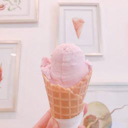 Osterberg Ice Cream 素材の味が楽しめる デンマーク発の甘くて美味しいアイスクリーム屋さん ベトナムリアルガイド