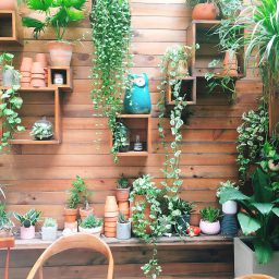 Joy Garden サボテンや観葉植物の販売も 雰囲気が素敵な3区のおしゃれカフェ ベトナムリアルガイド