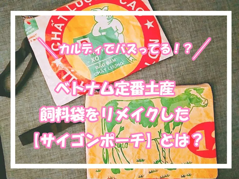 サイゴンポーチ10