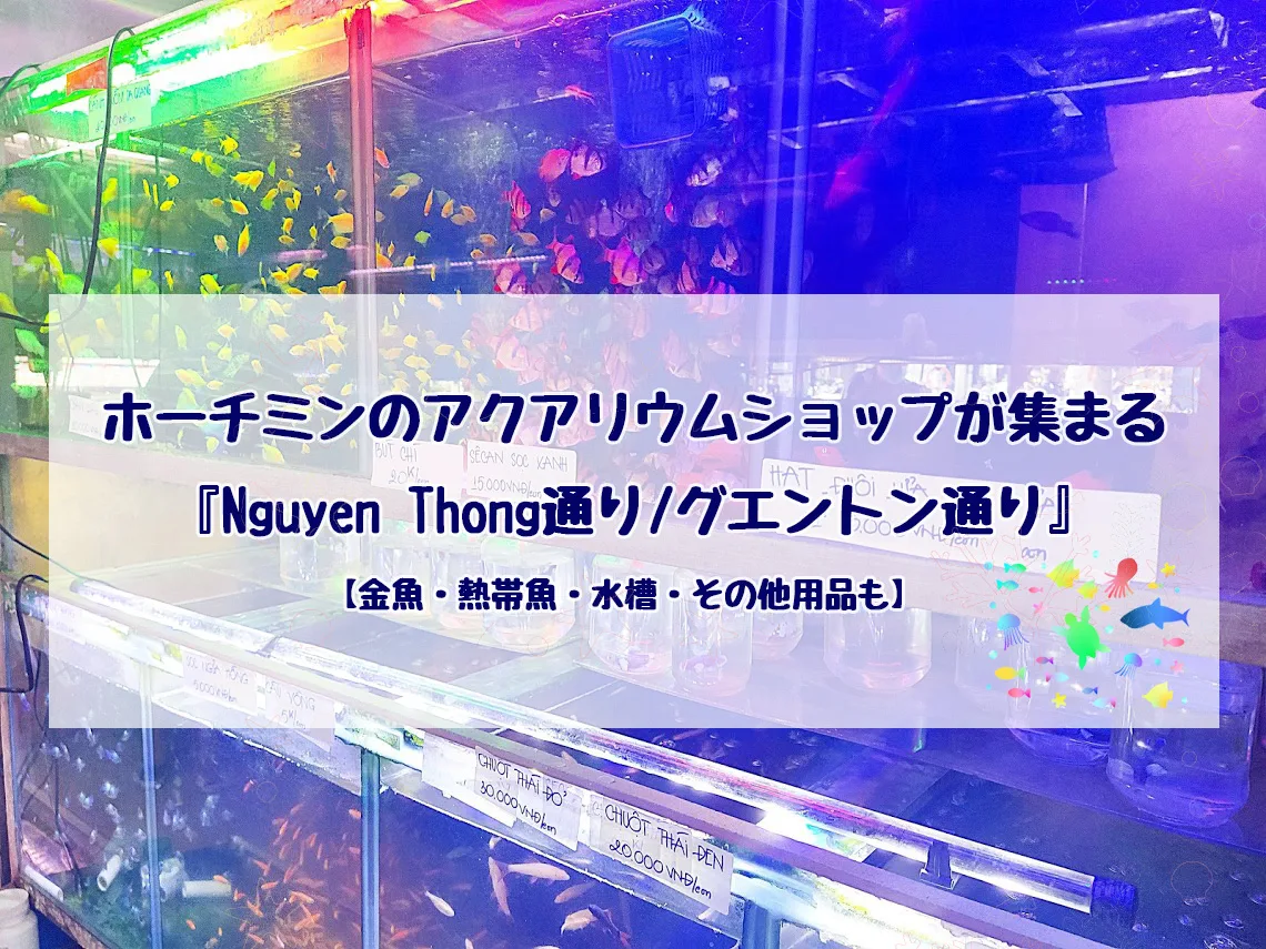アクアリウム通り ホーチミン