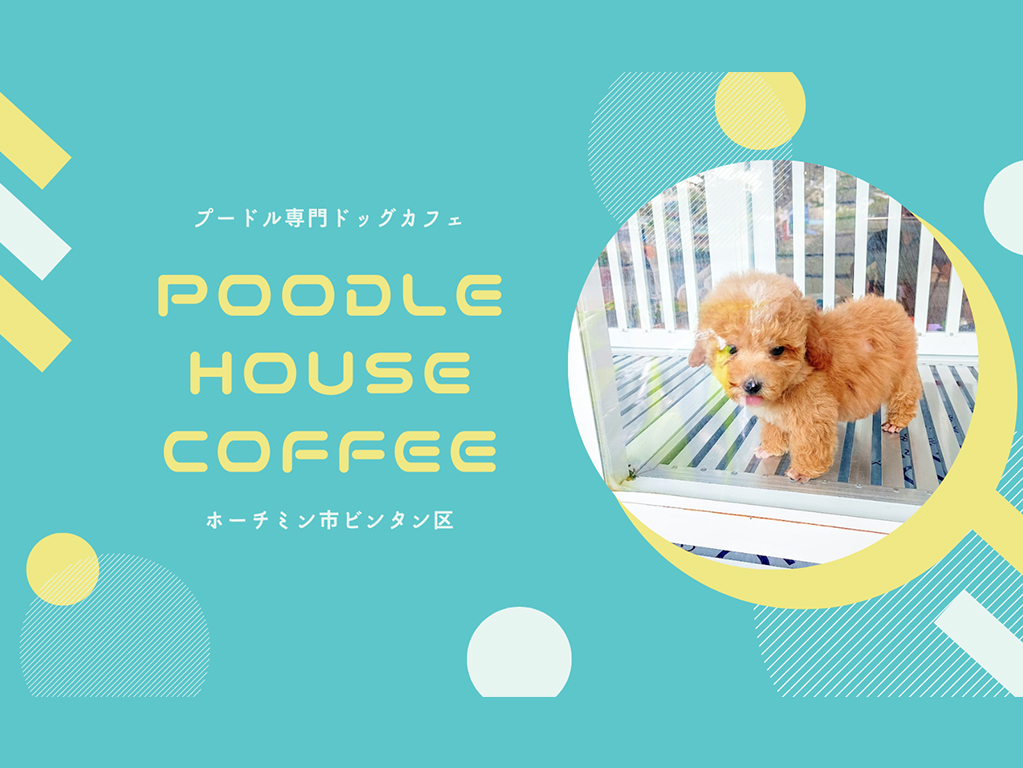 poodle house coffee1