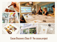 cacao concept studyclass12