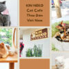 KIN NEKO Cat Cafe１５