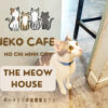 meow house10