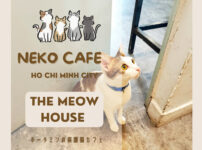 meow house10