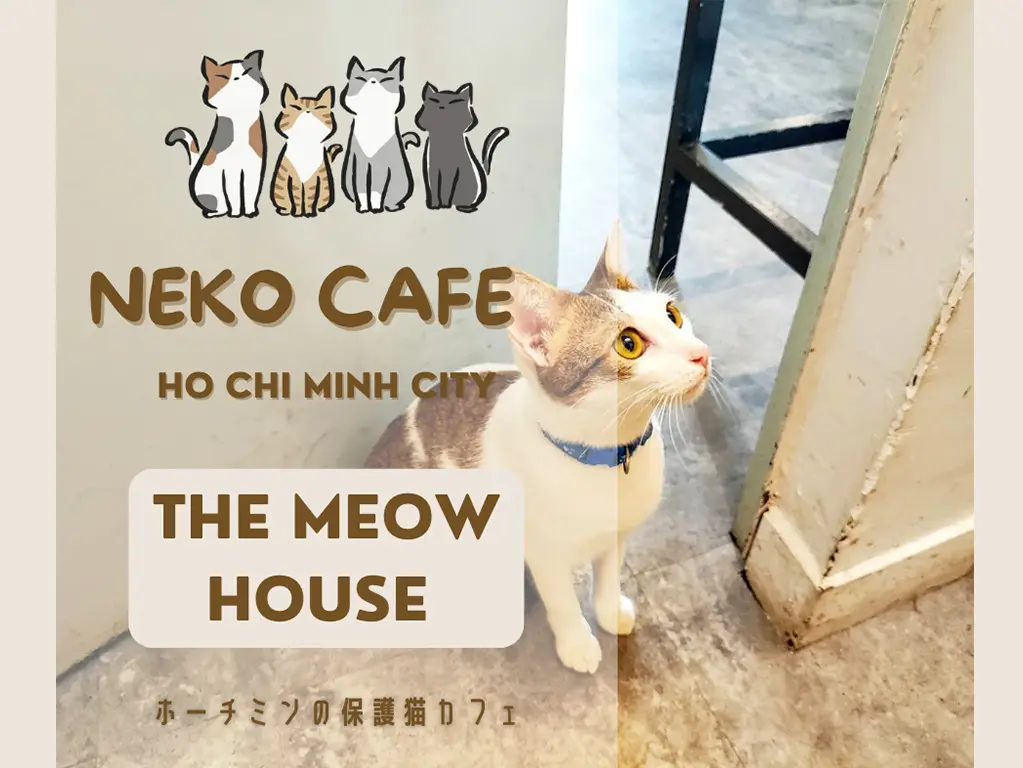 meow house10