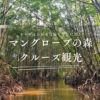マングローブ