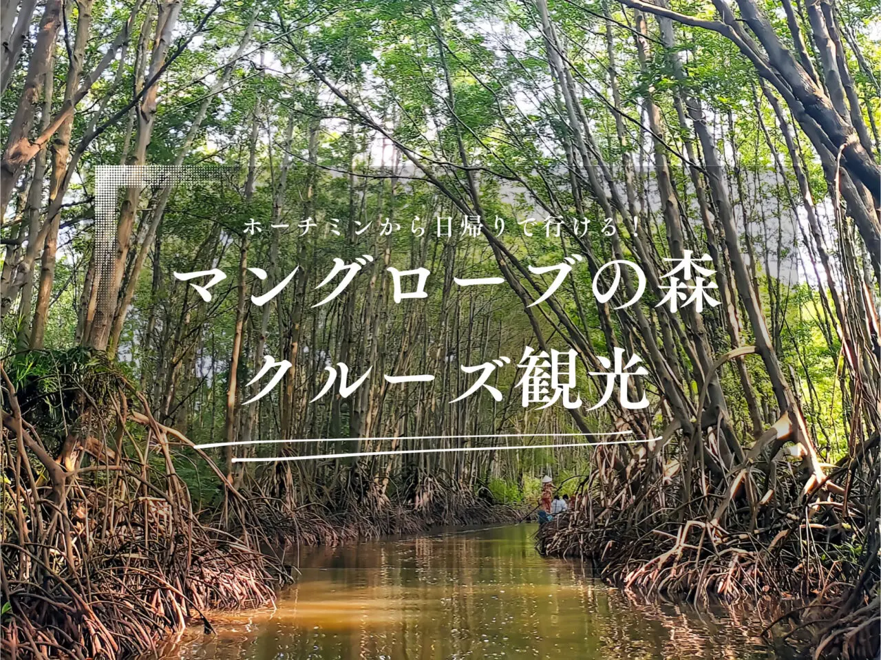 マングローブ