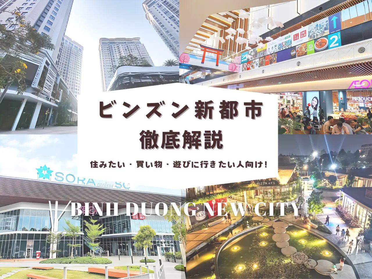 ビンズン新都市6